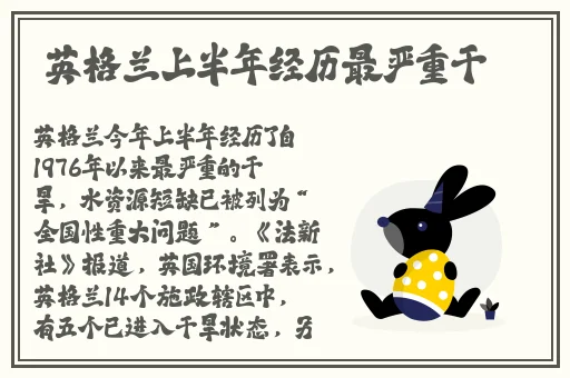 国产AV一区二区精品播放